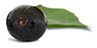 Acai Berry